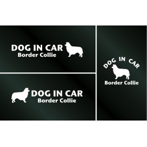 画像: ドッグステッカー『DOG IN CAR』ボーダーコリー 3枚組