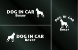 画像: ドッグステッカー『DOG IN CAR』ボクサー 3枚組