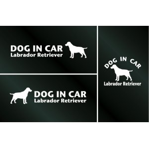 画像: ドッグステッカー『DOG IN CAR』ラブラドールレトリーバー 3枚組