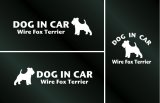 画像: ドッグステッカー『DOG IN CAR』ワイアーフォックステリア 3枚組