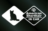 画像: キャットステッカー アメリカンショートヘア IN CAR