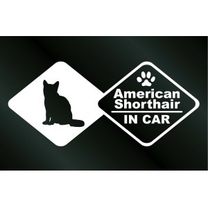 画像: キャットステッカー アメリカンショートヘア IN CAR