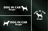 画像: ドッグステッカー『DOG IN CAR』ビーグル 3枚組