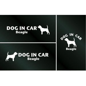 画像: ドッグステッカー『DOG IN CAR』ビーグル 3枚組