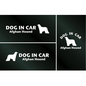 画像: ドッグステッカー『DOG IN CAR』アフガンハウンド 3枚組