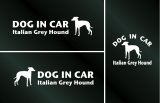 画像: ドッグステッカー『DOG IN CAR』イタリアングレーハウンド 3枚組