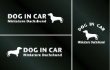 画像: ドッグステッカー『DOG IN CAR』ミニチュアダックスフンド スムースヘアード 3枚組