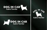 画像: ドッグステッカー『DOG IN CAR』ケアーンテリア 3枚組
