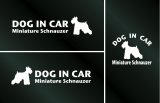 画像: ドッグステッカー『DOG IN CAR』ミニチュアシュナウザー 3枚組