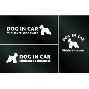 画像: ドッグステッカー『DOG IN CAR』ミニチュアシュナウザー 3枚組