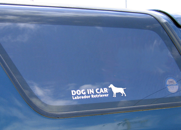 画像: ドッグステッカー『DOG IN CAR』ミニチュアシュナウザー 3枚組